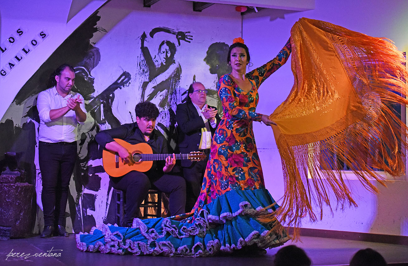 La bailaora Sandra Cisneros. Espectáculo 'Guitarra, cante y baile flamencos' en el Tablao Los Gallos, Sevilla. Foto: Quico Pérez-Ventana
