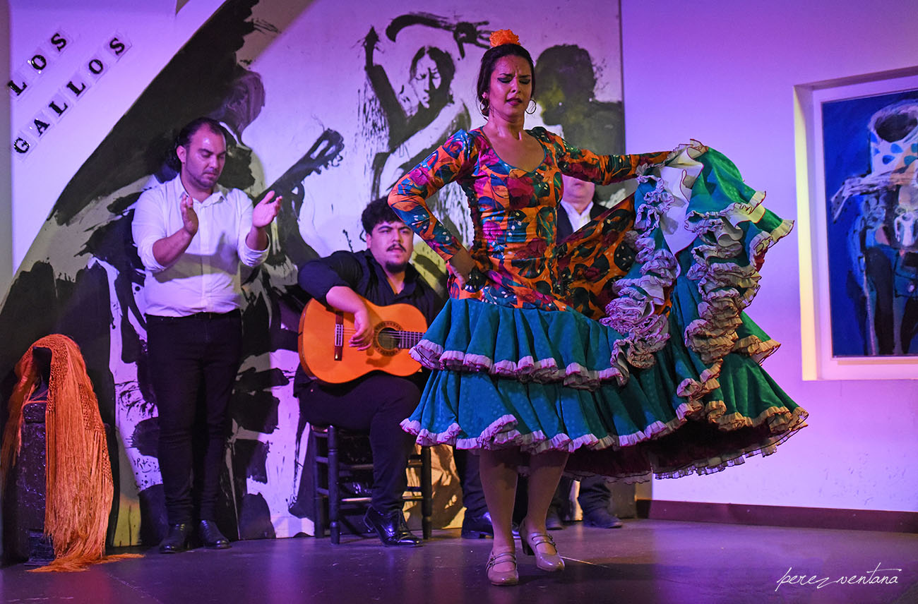 La bailaora Sandra Cisneros. Espectáculo 'Guitarra, cante y baile flamencos' en el Tablao Los Gallos, Sevilla. Foto: Quico Pérez-Ventana